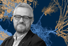 Denis Dufrane, CEO of NOVADIP