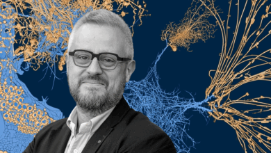 Denis Dufrane, CEO of NOVADIP